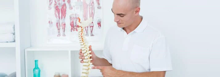 Chiropractic Ballard Seattle WA Doctor with Spine
